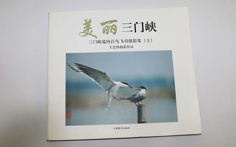 畫冊印刷,畫冊設計,宣傳畫冊印刷 畫冊印刷,畫冊設計,宣傳畫冊印刷