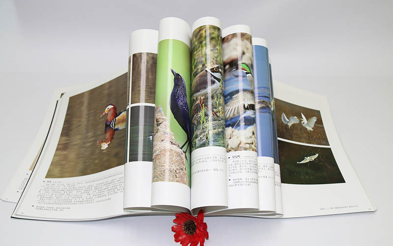 畫冊印刷,畫冊設計,宣傳畫冊印刷 畫冊印刷,畫冊設計,宣傳畫冊印刷